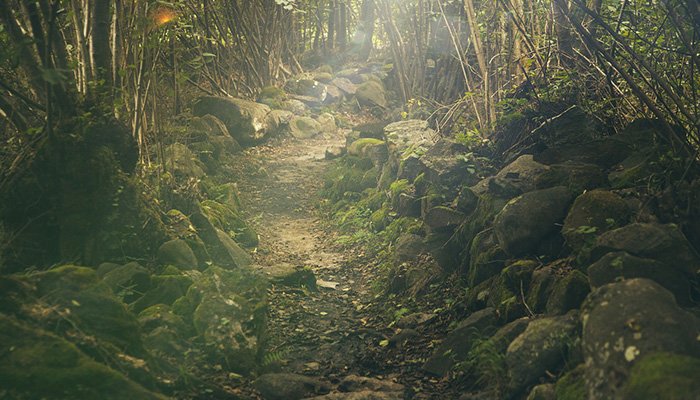 Joe's life-changing 2,200 mile hike along Appalachian Trail
