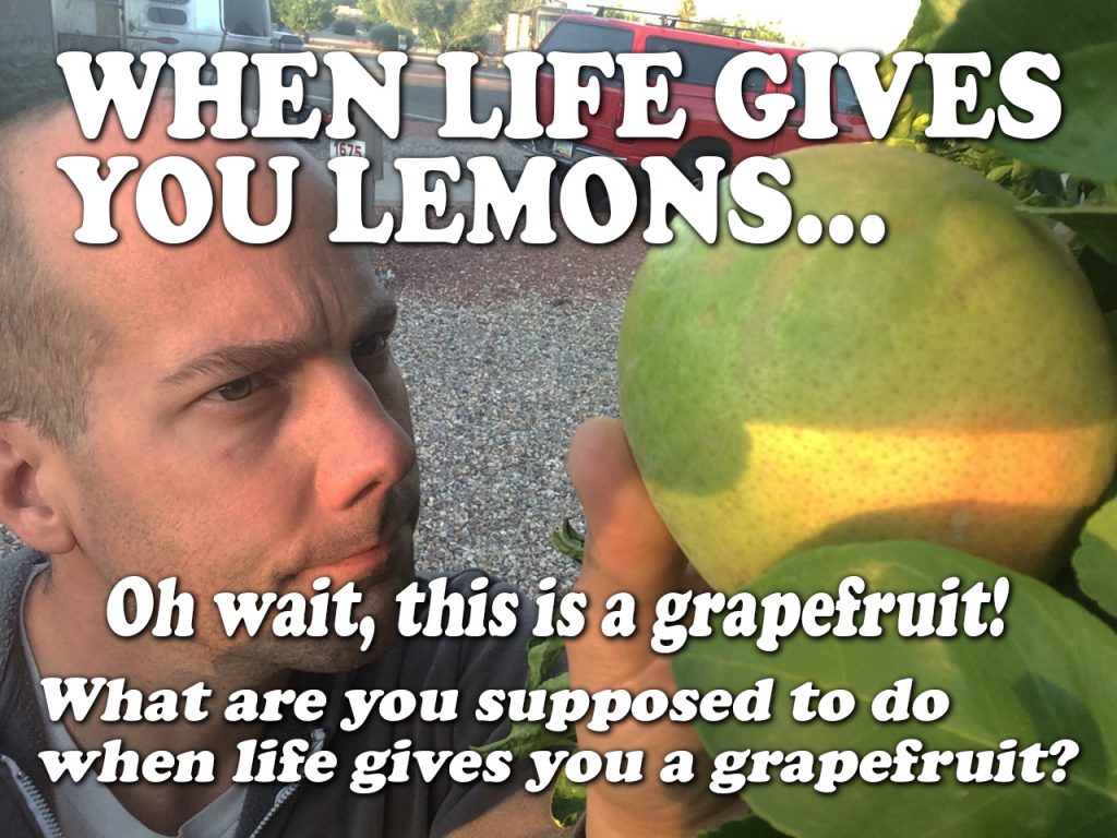 When life gives you lemons...or a grapefruit?