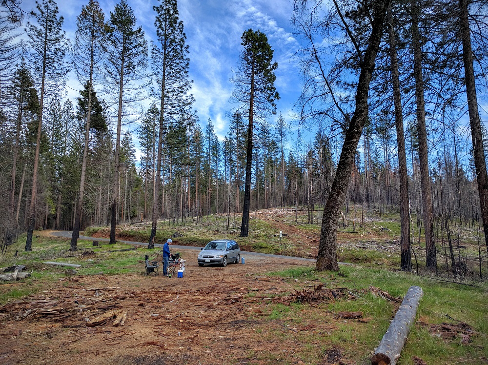 The Resume Gap van in Yosemity