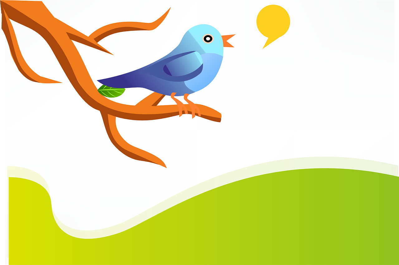 How much is a Twitter follow worth?