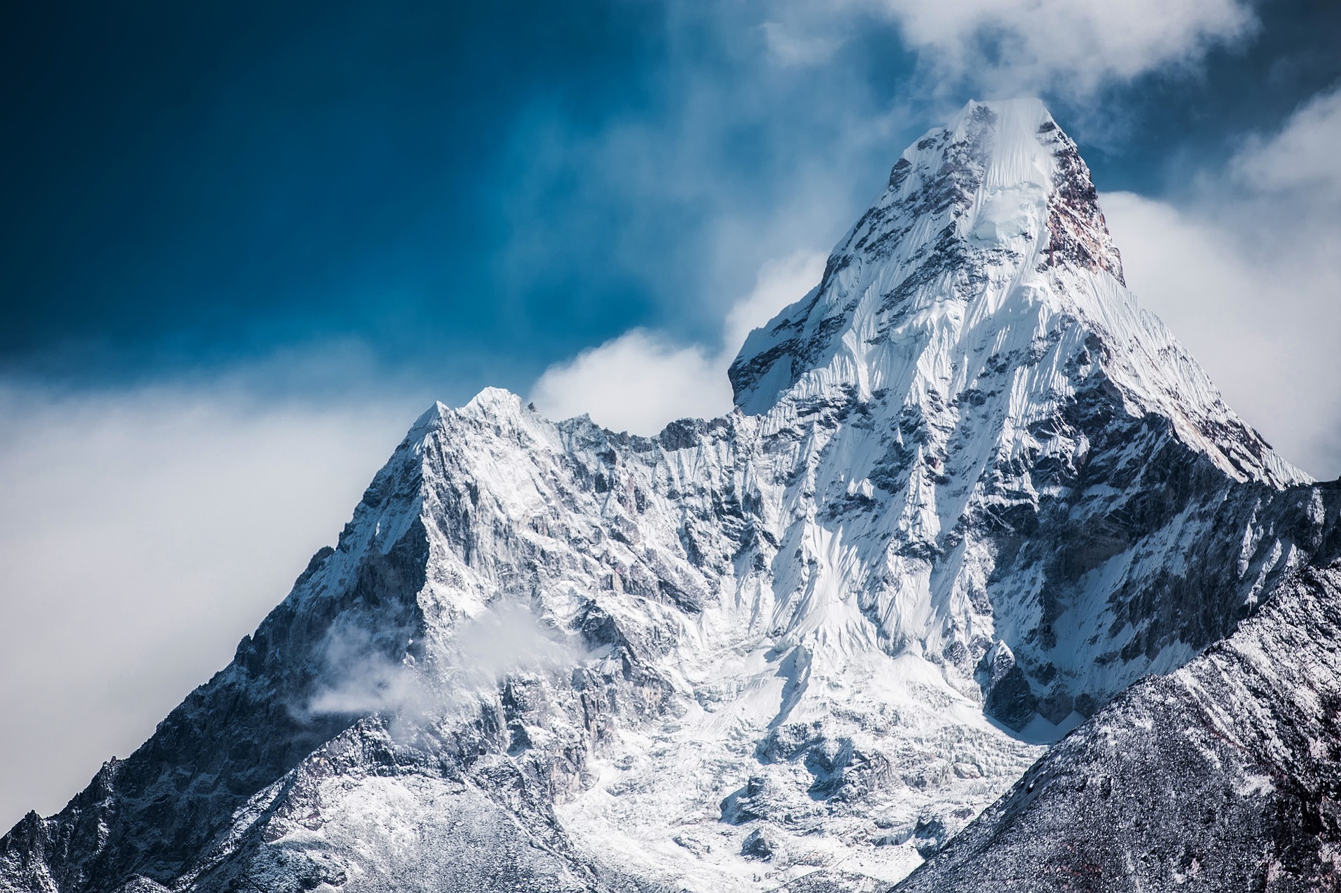 Your ultimate guide to being successful in absolutely anything you do