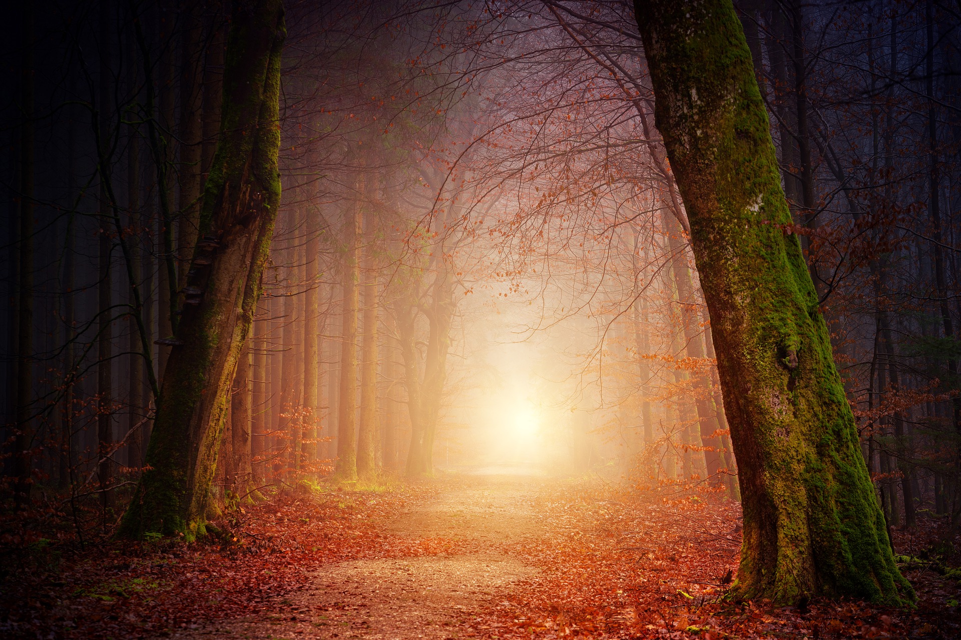 Debunking the top 5 myths of early retirement